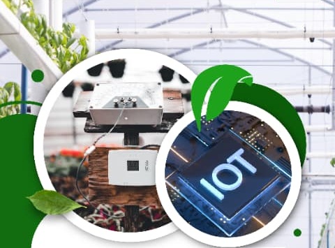 Kegiatan Sedang Berlangsung